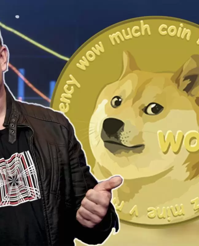 SICAK GELİŞME: Elon Musk’tan Yeni Dogecoin Adımı Geldi, DOGE Yükselişe Geçti!